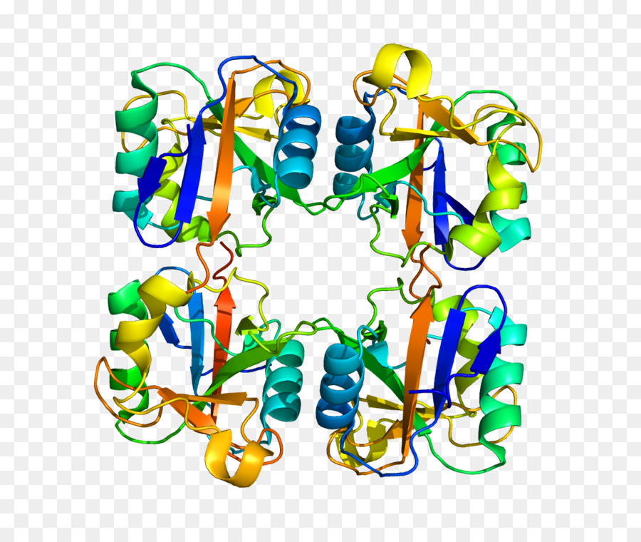 Dna Yapısı，Molekül PNG