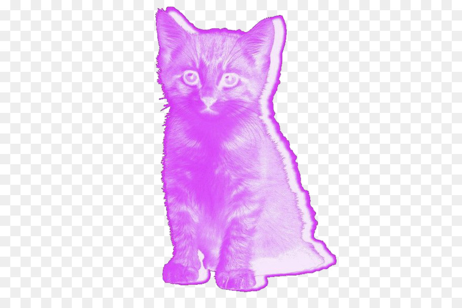 Kedi，Pembe Kedi PNG