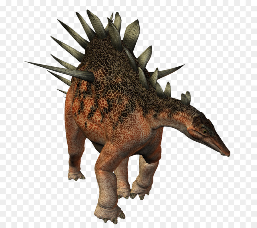 Stegosaurus，Tarih öncesi PNG