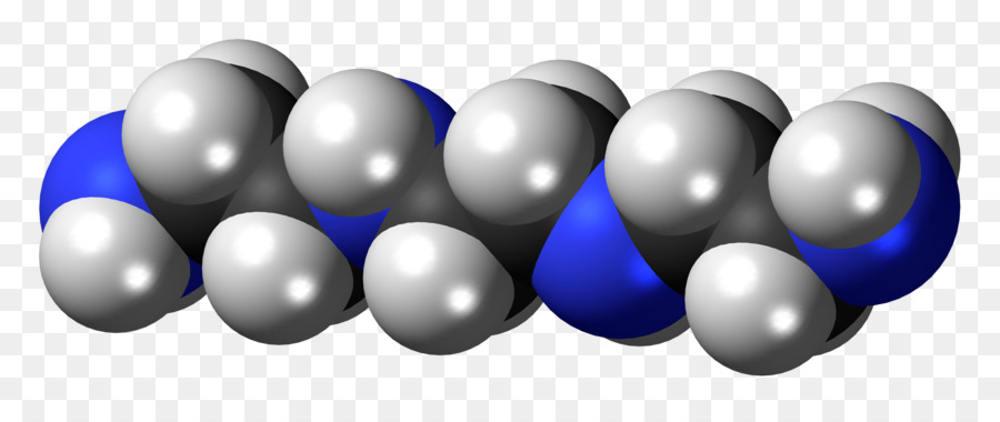 Triethylenetetramine，Edetate PNG