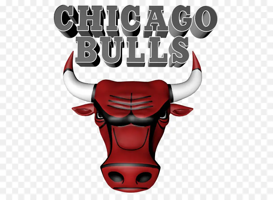 Chicago Bulls Logosu，Basketbol PNG