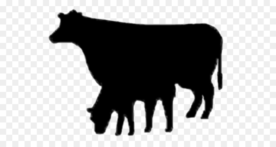 Angus Sığır，Süt Sığırları PNG