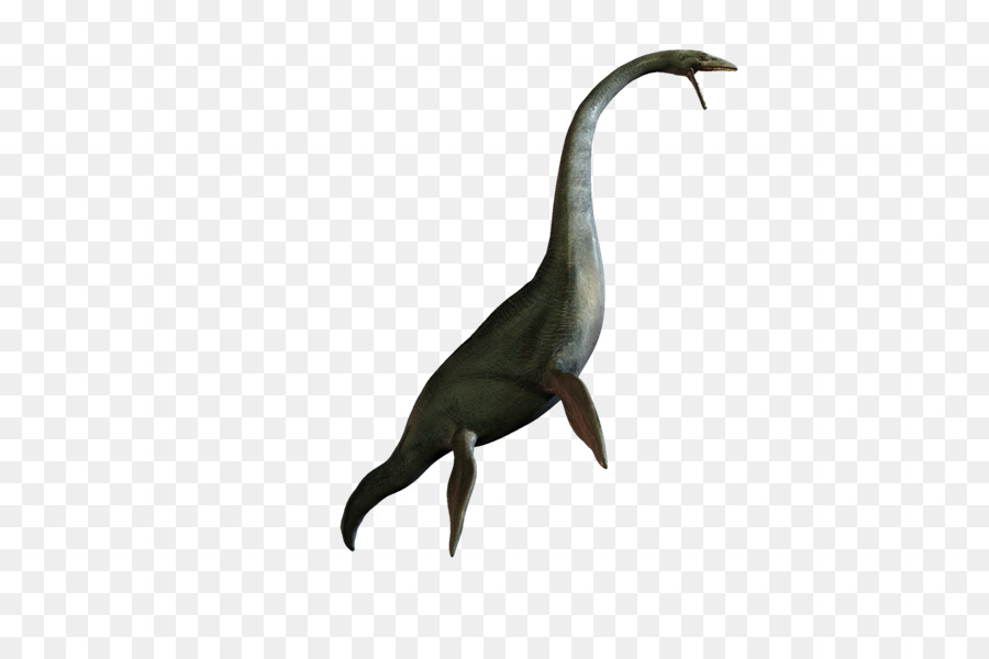 Plesiosaur，Dinozor PNG