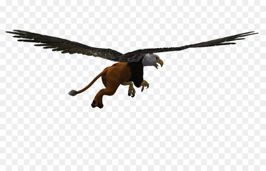 Akbaba，Velociraptor PNG