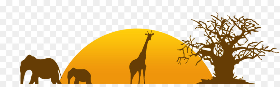 Zürafa，Hayvanat Bahçesi PNG
