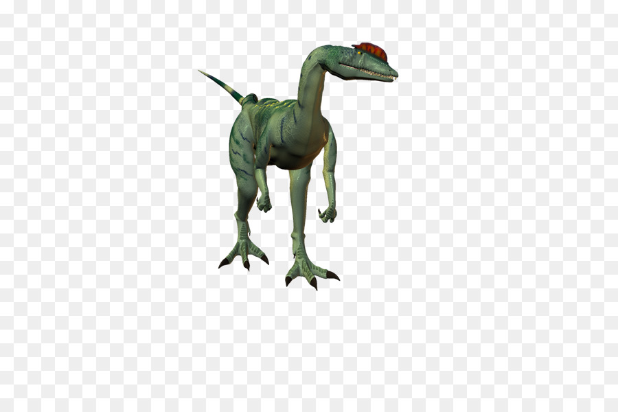 Velociraptor，Tyrannosaurus PNG