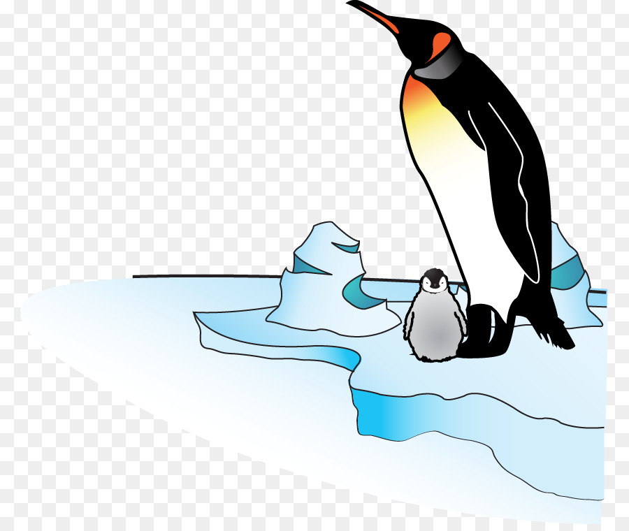 Penguen，Buz PNG