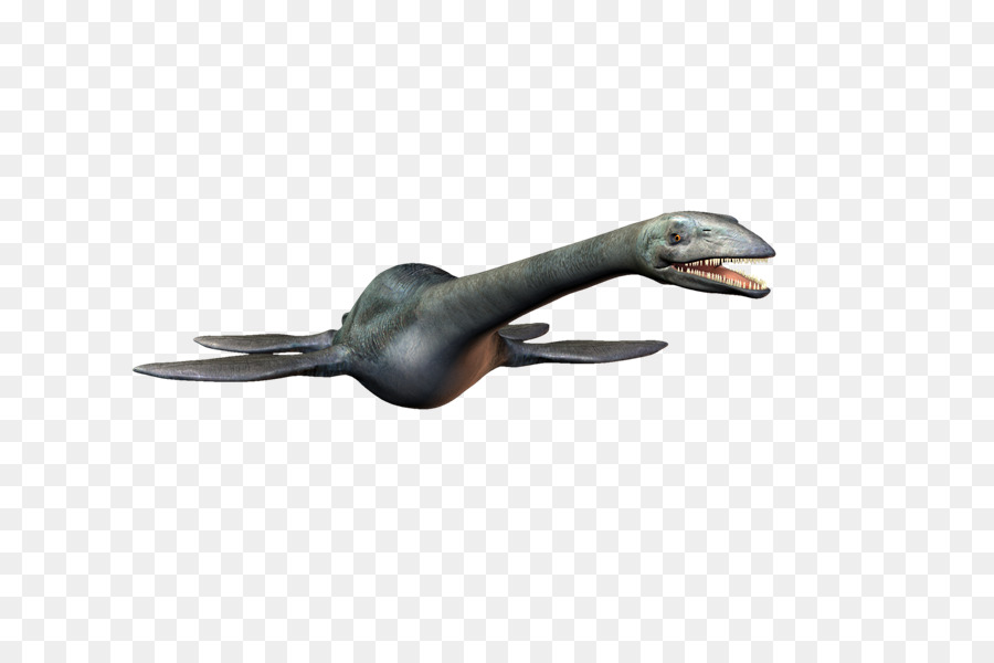 Plesiosaur，Dinozor PNG