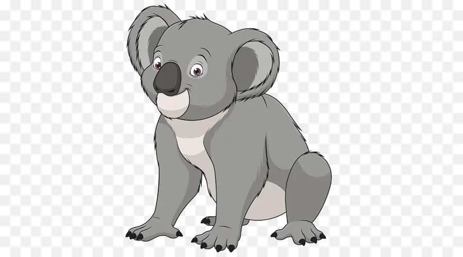 Koala，Keseli Hayvan PNG