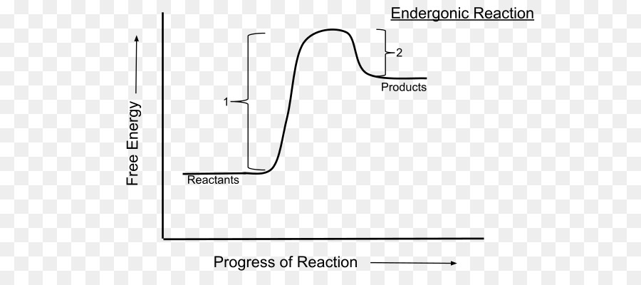 Ekzergonik Reaksiyon，Grafik PNG