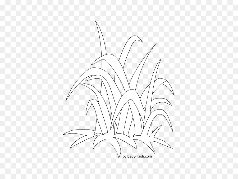 Bitki Kök，Hat Sanatı PNG