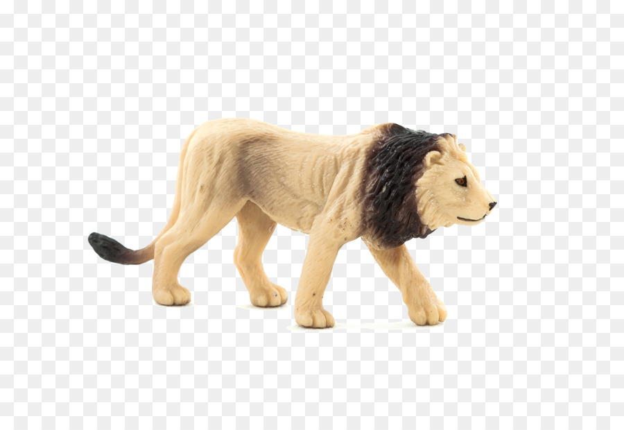 Aslan，Animal Planet PNG