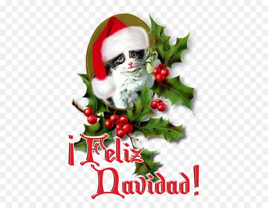 Noel Baba şapkalı Kedi，Noel PNG