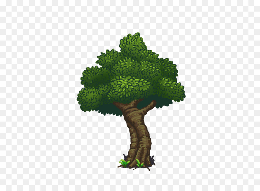 Ağaç，Saksı PNG