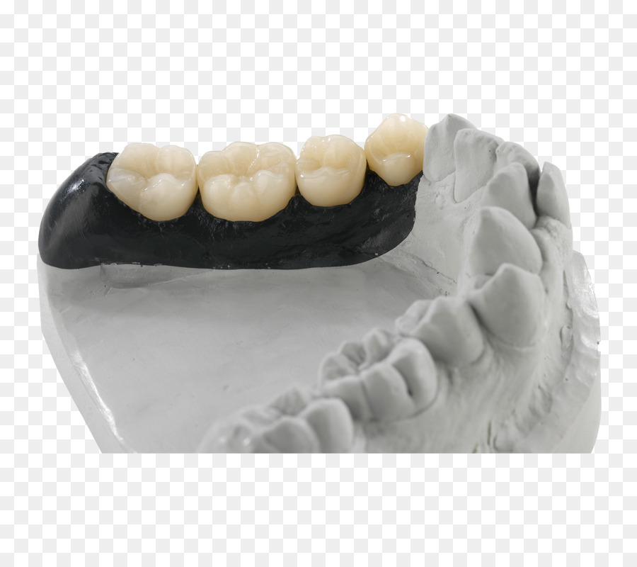 Diş Hekimi，Diş Teknisyeni PNG