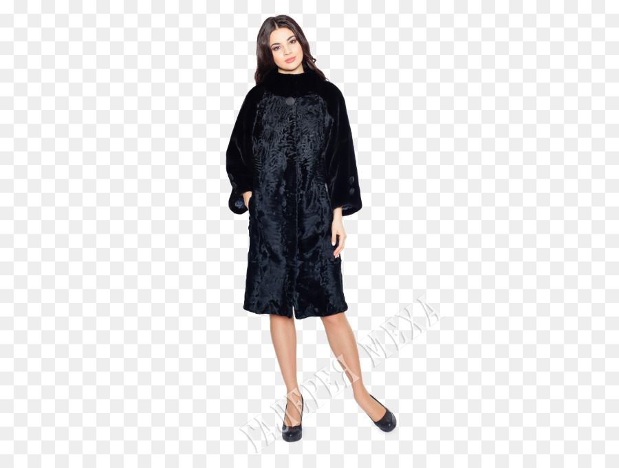 Küçük Siyah Elbise，Kürk Giyim PNG