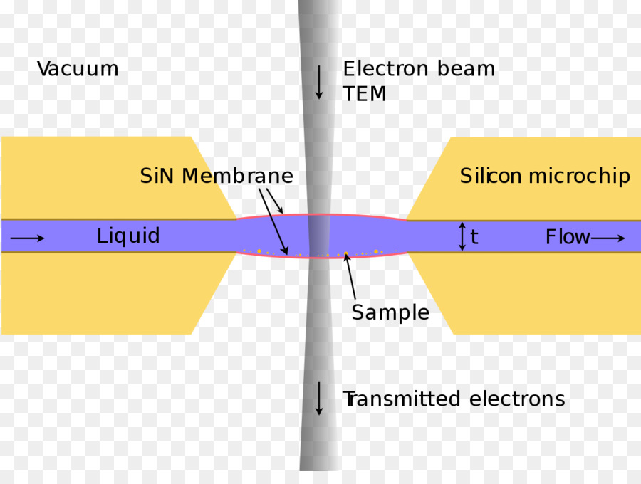 Elektron Mikroskobu，Transmisyon Elektron Mikroskopi PNG