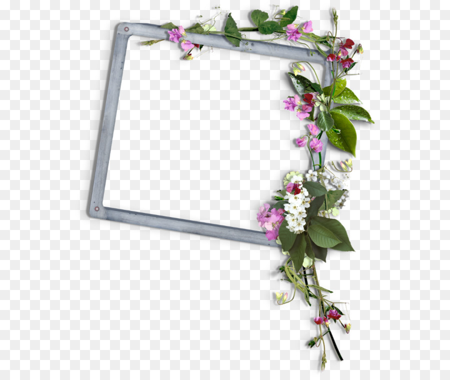 Resim Çerçeveleri，çiçek Tasarımı PNG