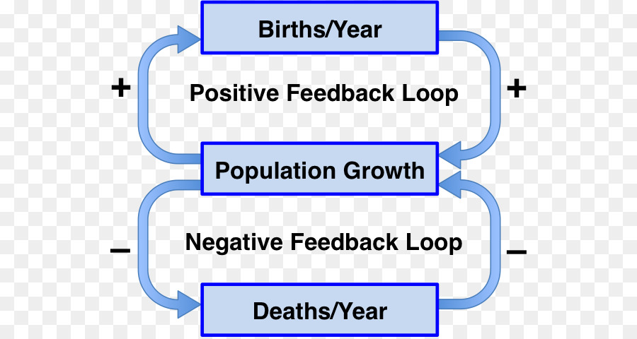 Negatif Geri Besleme Pozitif Geri Besleme Dengesinin Biyoloji Geri Besleme Dongusu Seffaf Png Goruntusu