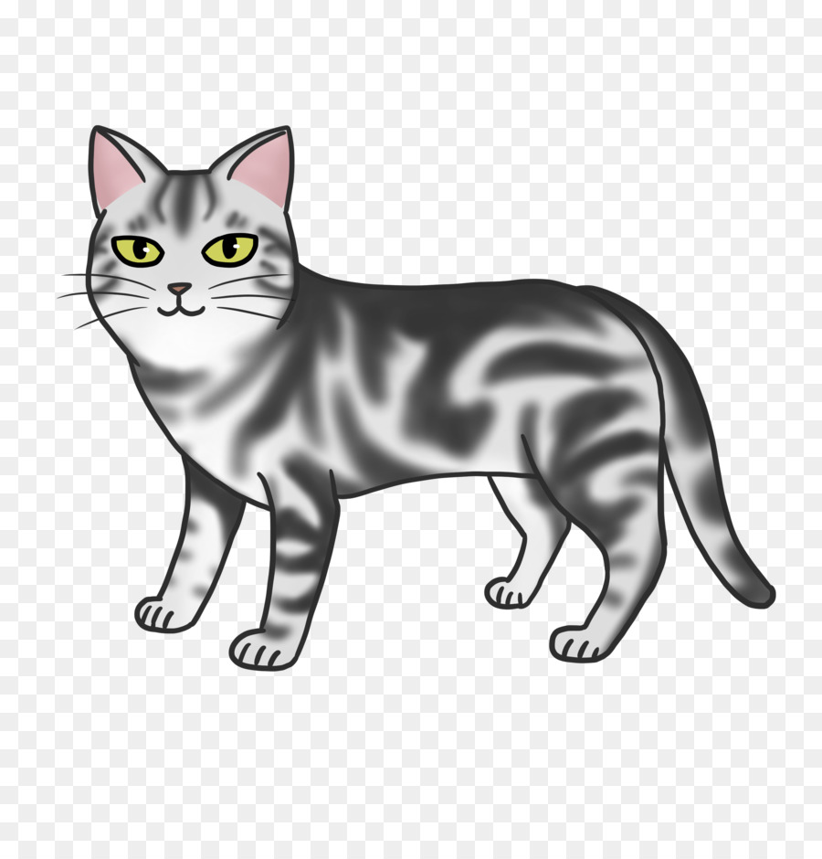 Amerikan Form，Dağda Kedi PNG