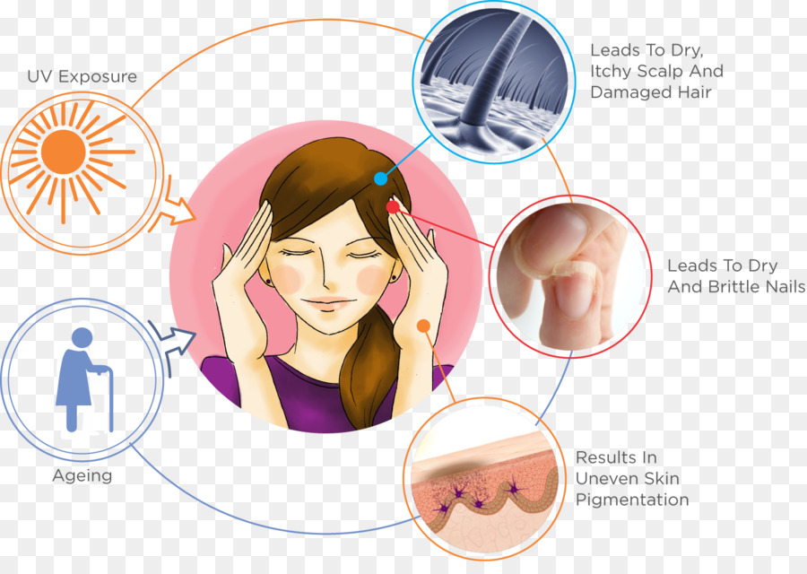 Saç Ve Cilt Sorunları，Uv'ye Maruz Kalma PNG