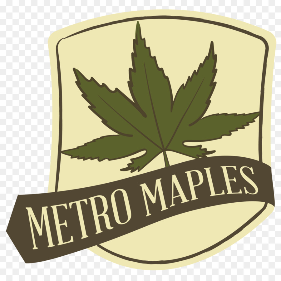 Metro Maples，Japon Akçaağaç PNG