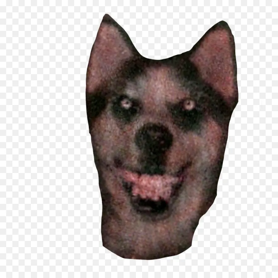 Köpek Yüzü，Hayvan PNG