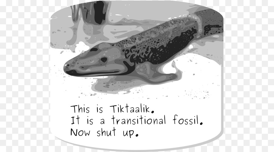 Tiktaalik，Ara Fosil PNG