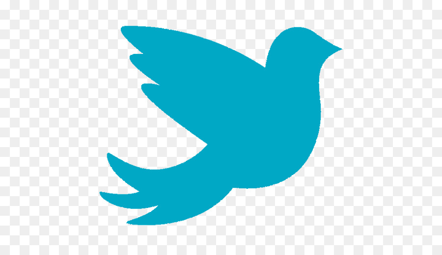 Twitter Logosu，Kuş PNG