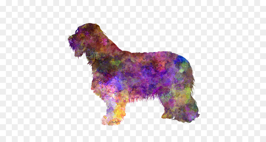 Renkli Köpek，Siluet PNG