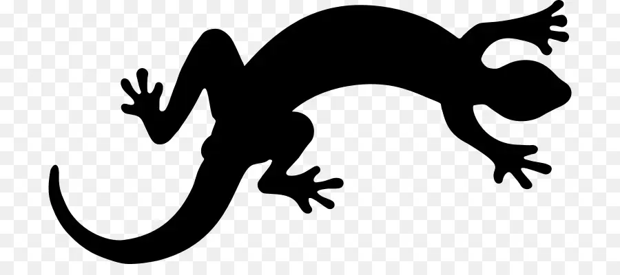 Geko，Siluet PNG