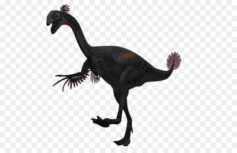 Velociraptor，Hayvan PNG