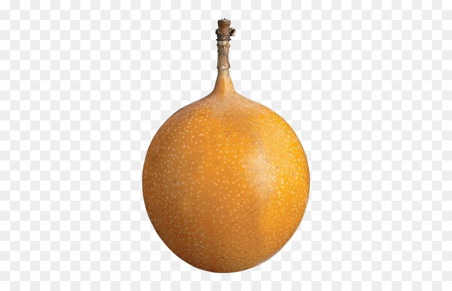 Kış Squash，Kabak PNG