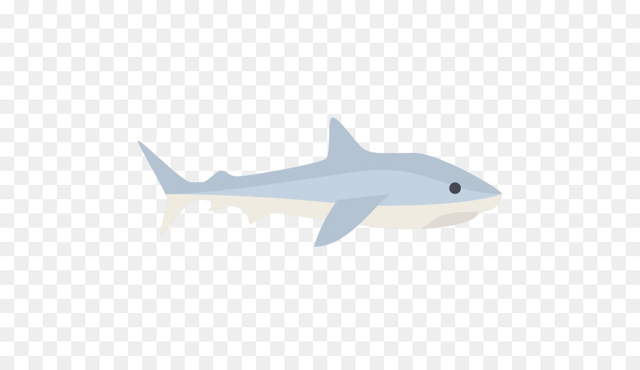 Kaplan Köpekbalığı，Squaliform Köpekbalıkları PNG