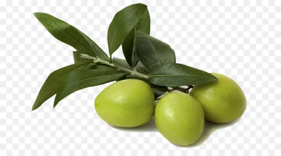 Yeşil Zeytin，Dal PNG