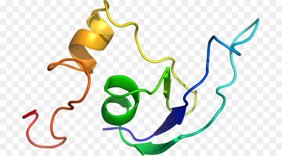 Protein，Molekül PNG