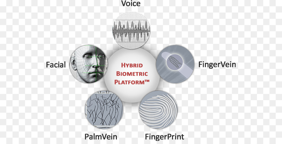 Biyometrik，M2sys Teknoloji PNG