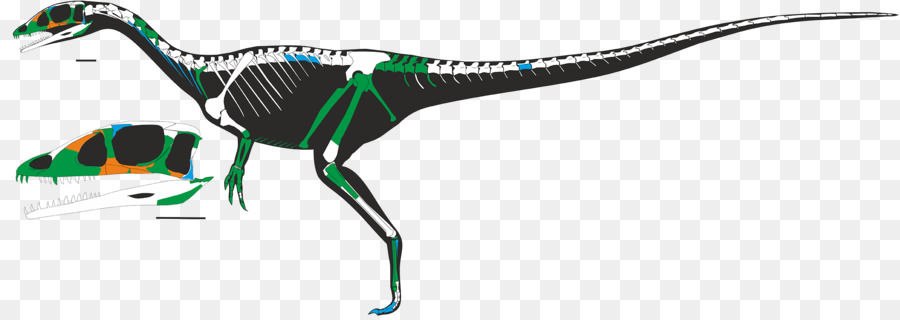Dracoraptor，Ceratosaurus PNG