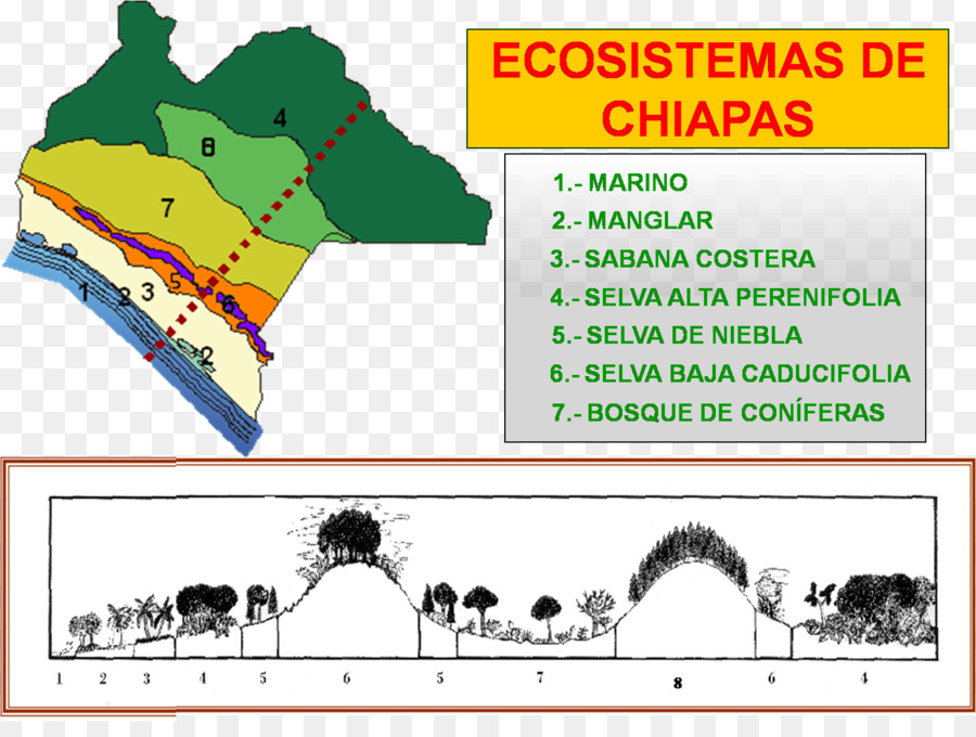 Ekosistem，Chiapas PNG