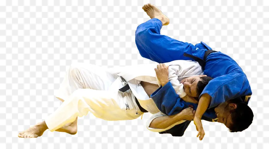 Dövüş Sanatları，Judo PNG