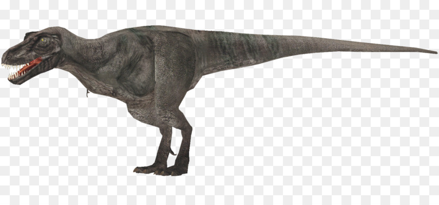 Tyrannosaurus，Hayvan PNG