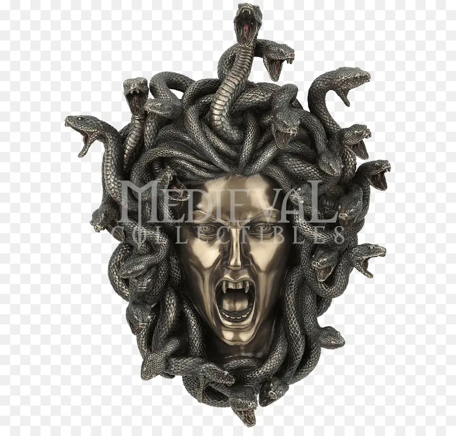 Medusa Başı，Yılanlar PNG