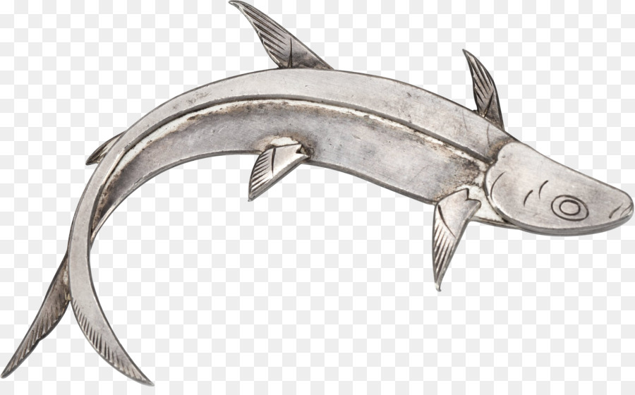 Requiem Köpekbalığı，Tütsülenmiş Görünen PNG