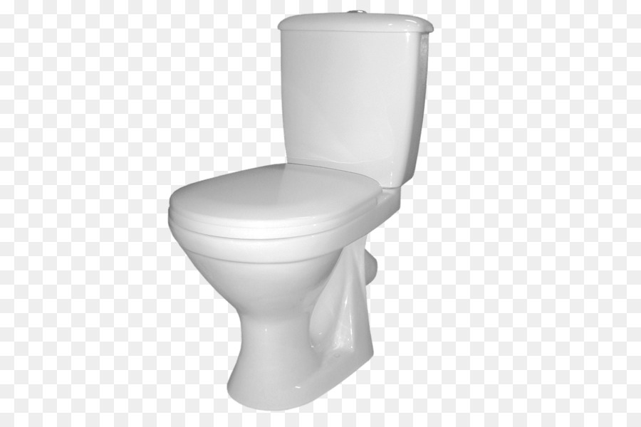 Tuvalet，Floş Tuvalet PNG