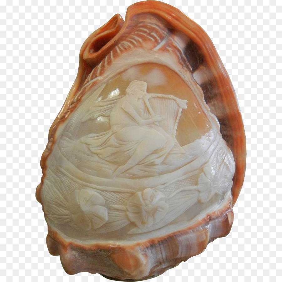 Midye，Shankha PNG