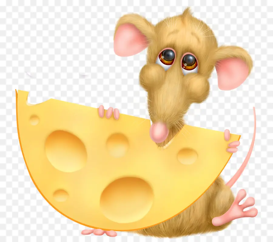 Peynir，Çizim PNG