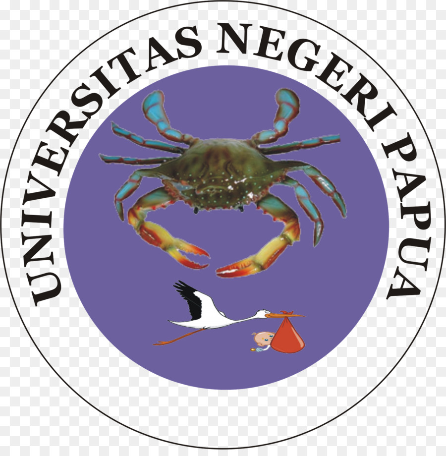 Vakıf Üniversitesi，Üniversitesi PNG