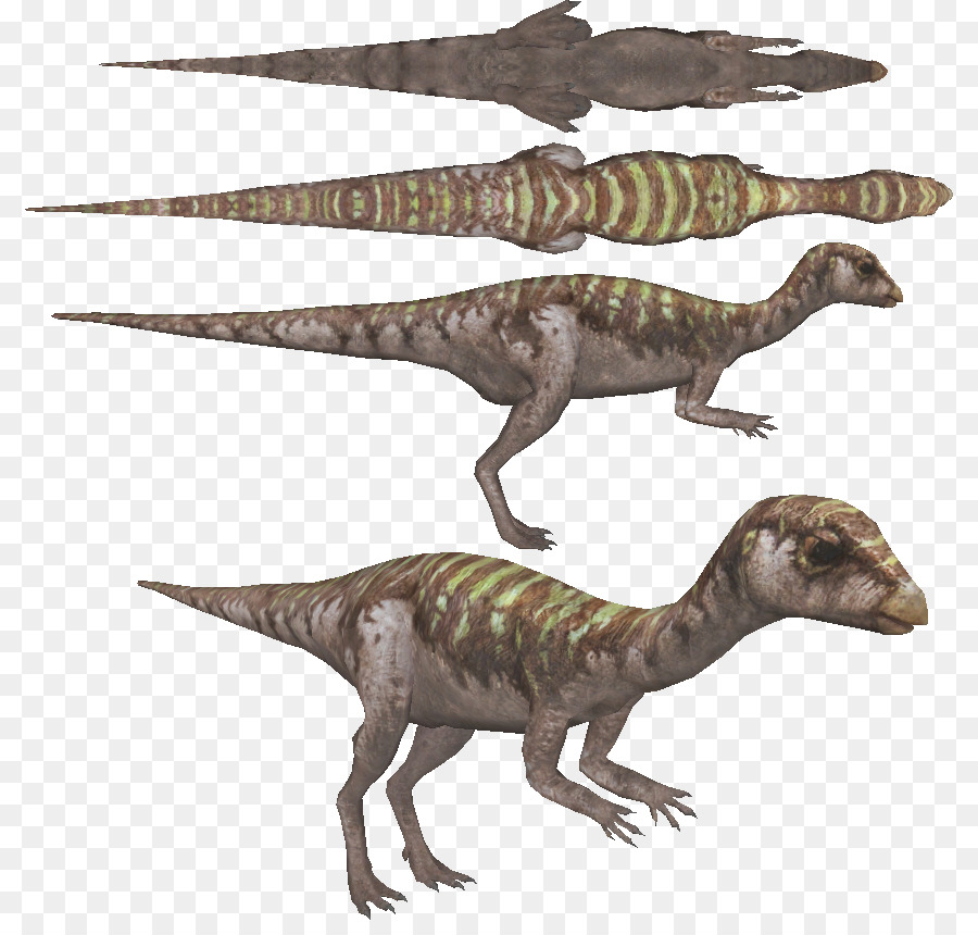 Velociraptor，Tyrannosaurus PNG