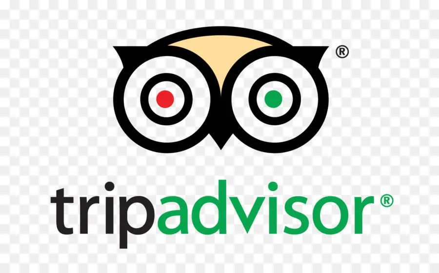 Tripadvisor Logosu，Baykuş PNG