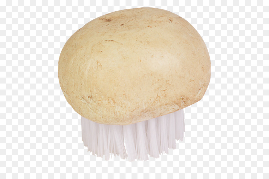 Agaricaceae，Tıp PNG